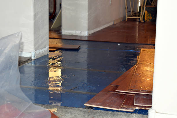 Professional Emergency Water Damage Restoration technician working in Carey, OH